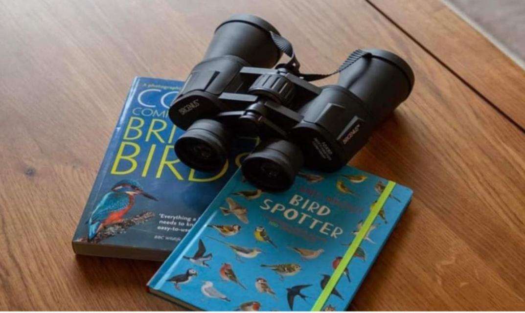 Willa The Gull & Puffin Cresswell Cresswell  Zewnętrze zdjęcie